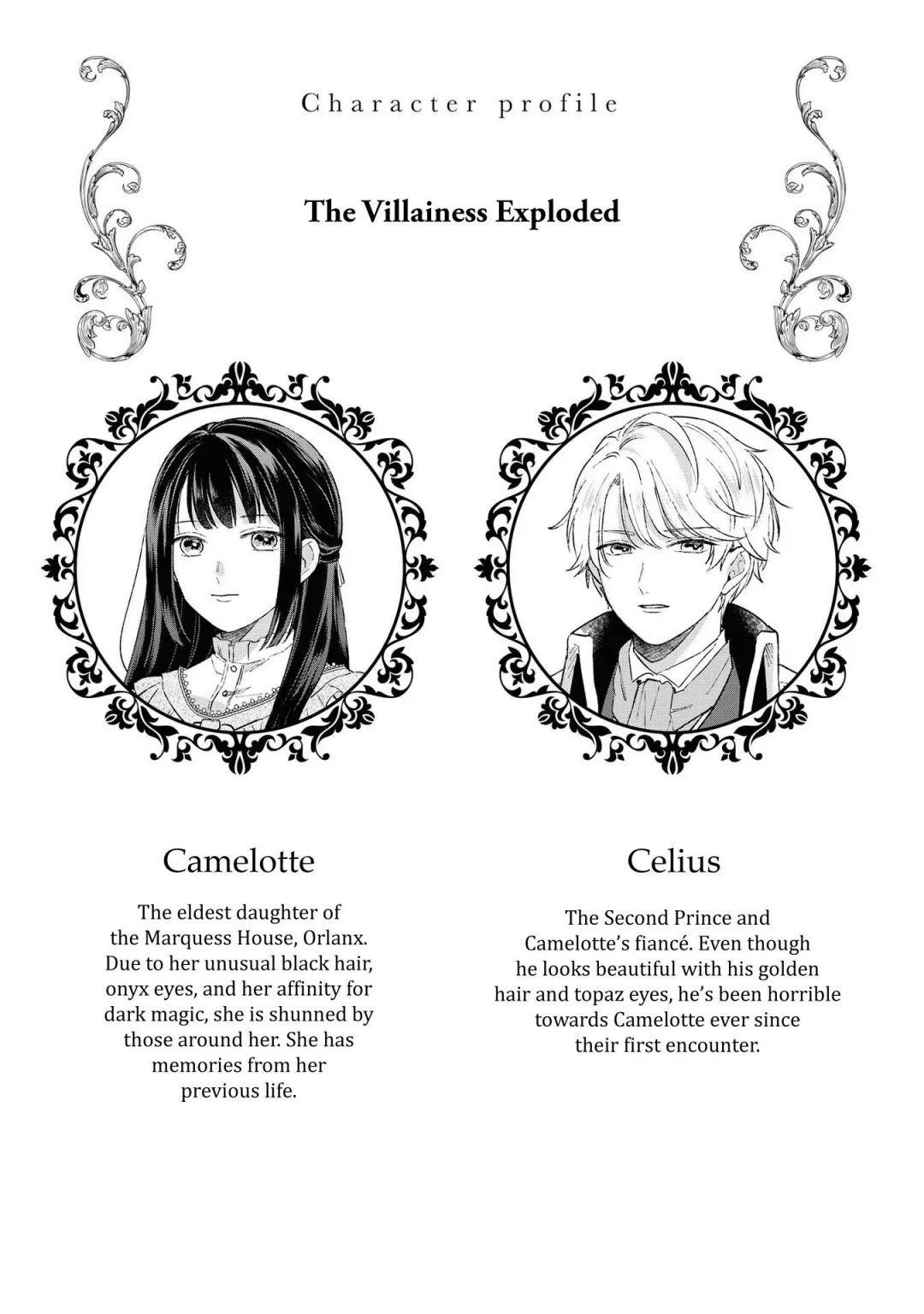 Page 4 of Chapter 10