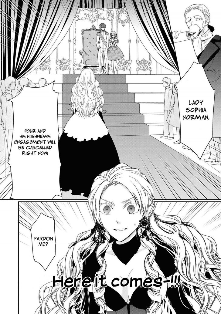 Page 13 of Chapter 3