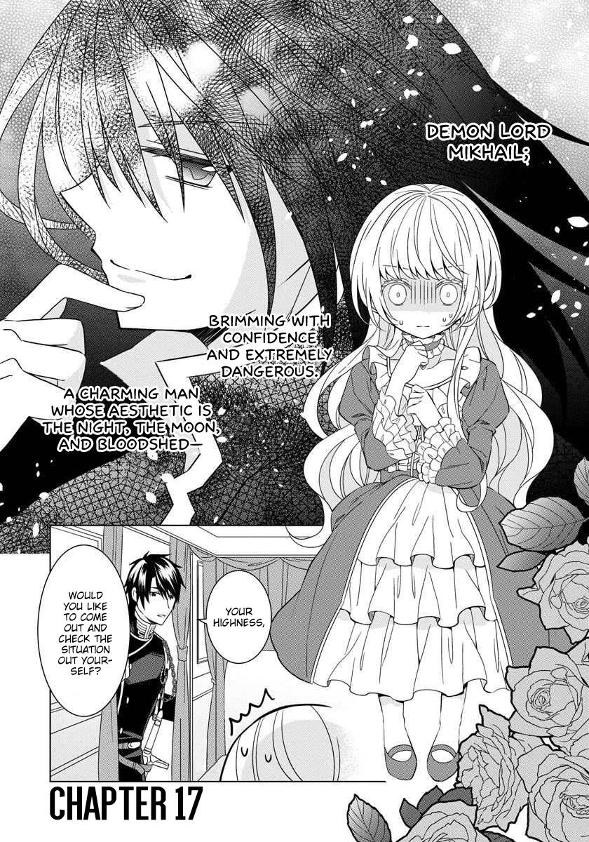 Page 2 of Chapter 17