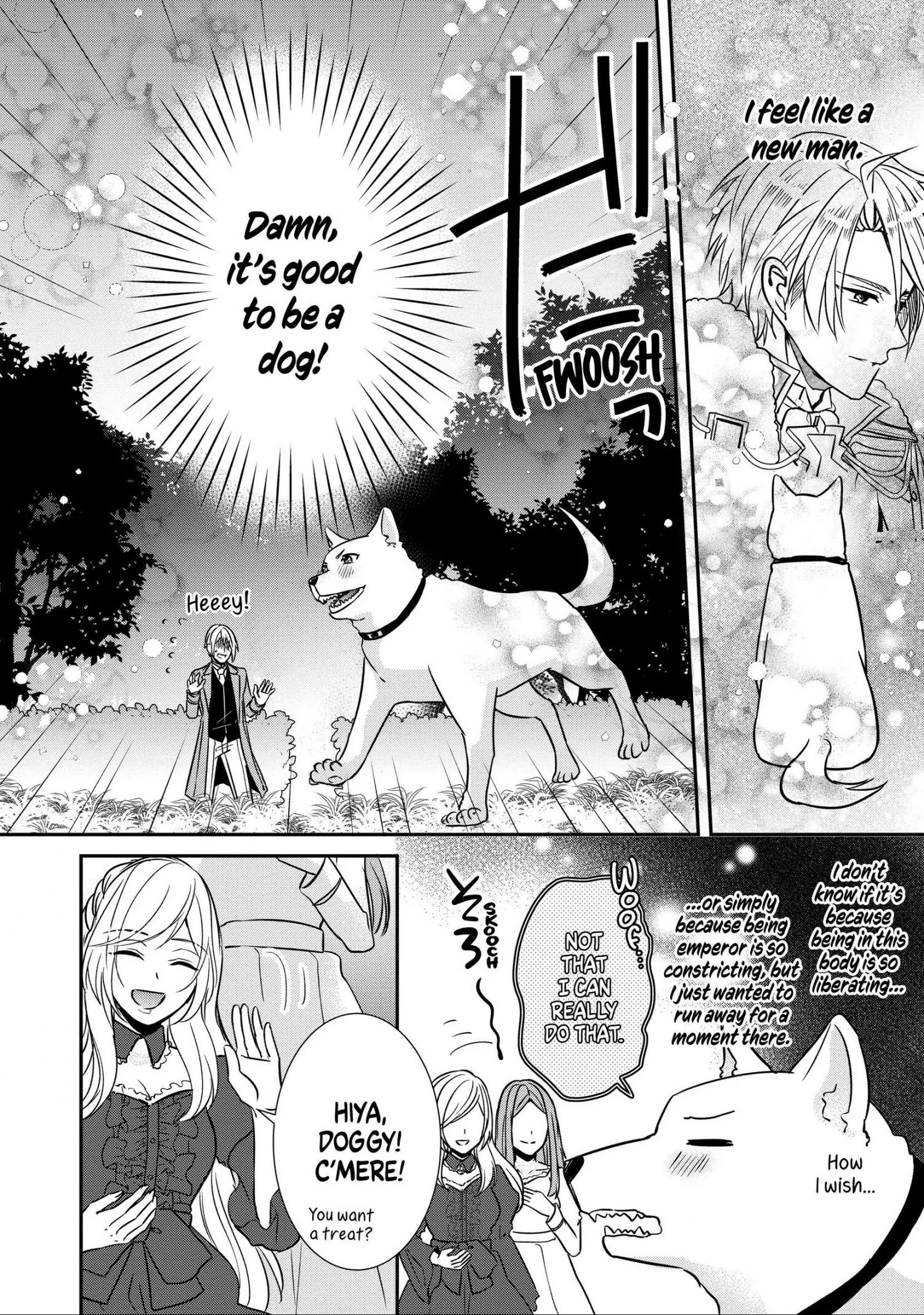 Page 2 of Chapter 20.6