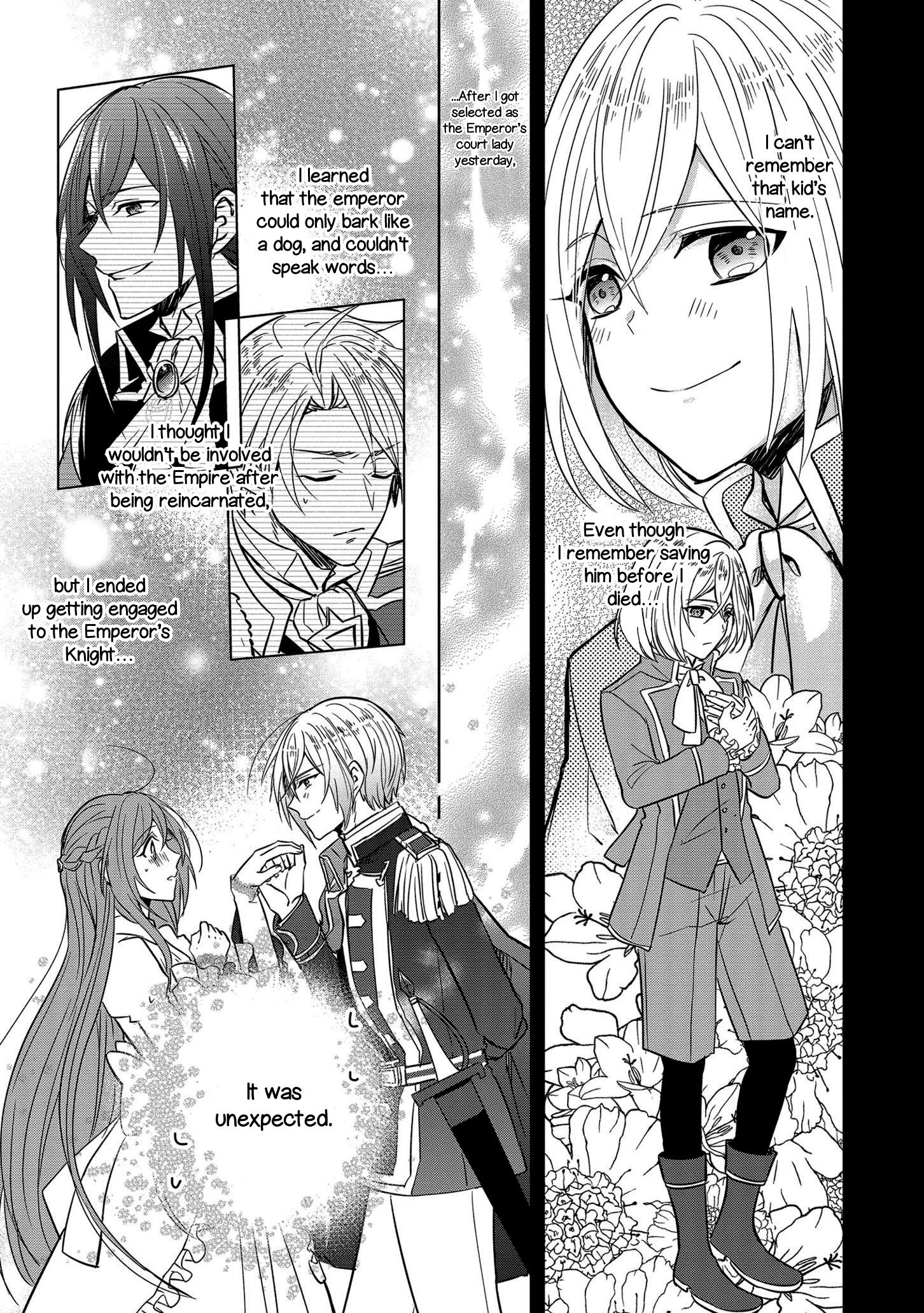 Page 7 of Chapter 3