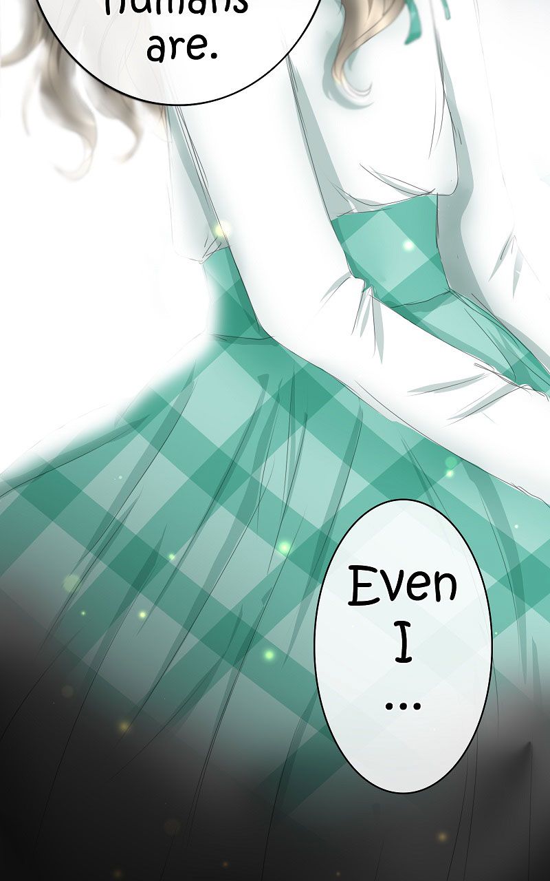 Page 19 of Chapter 14