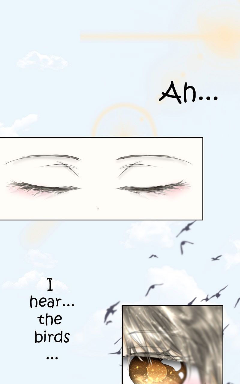 Page 1 of Chapter 2