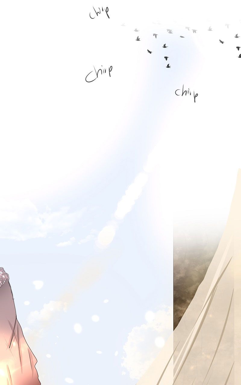 Page 17 of Chapter 8