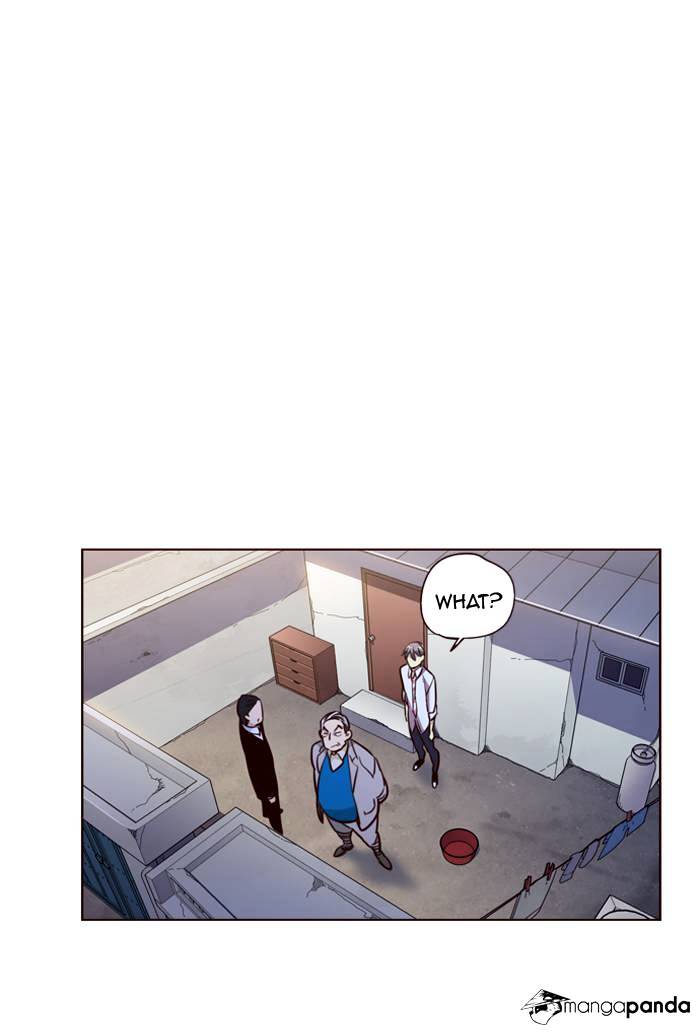 Page 29 of Chapter 243