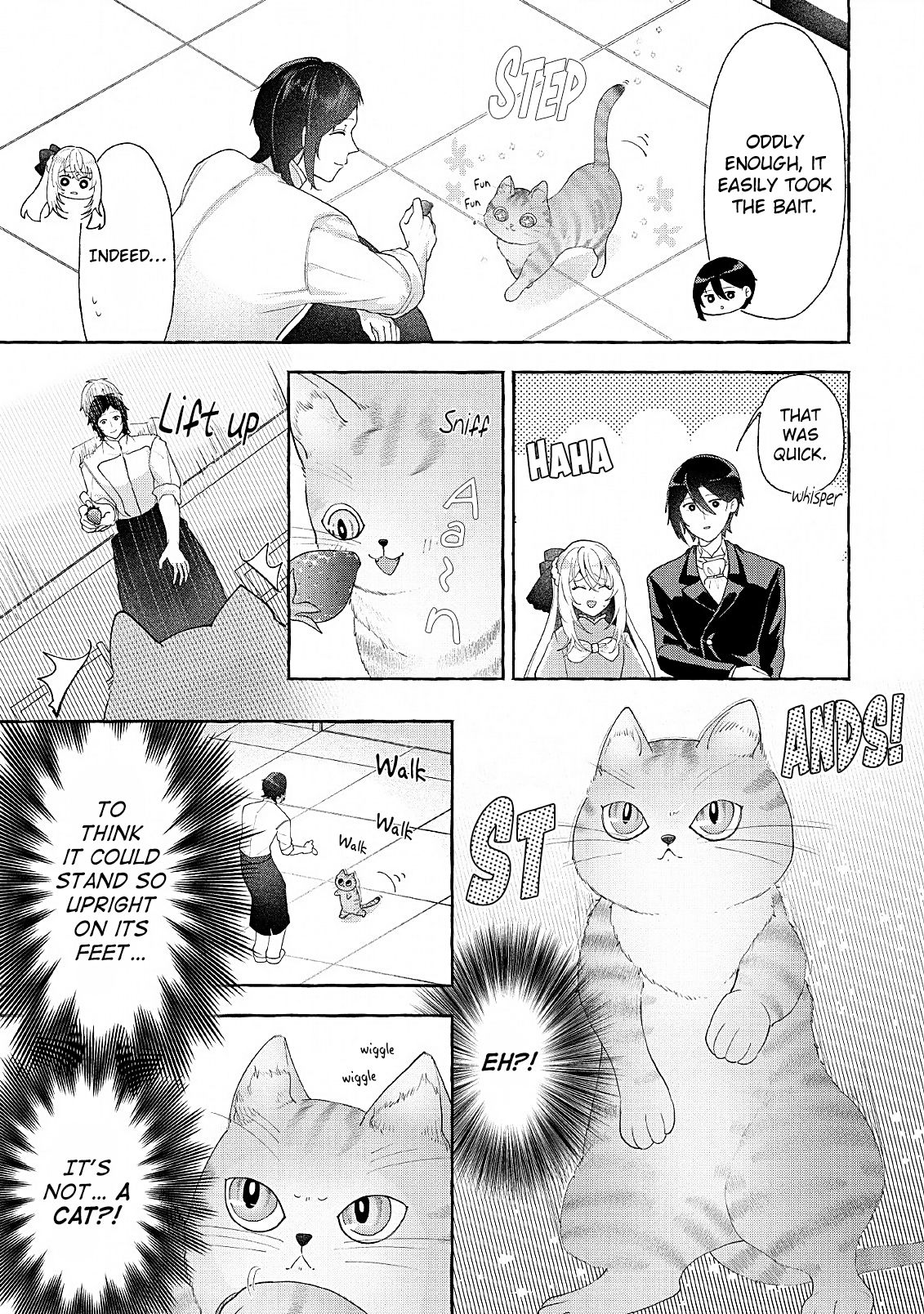 Page 17 of Chapter 6