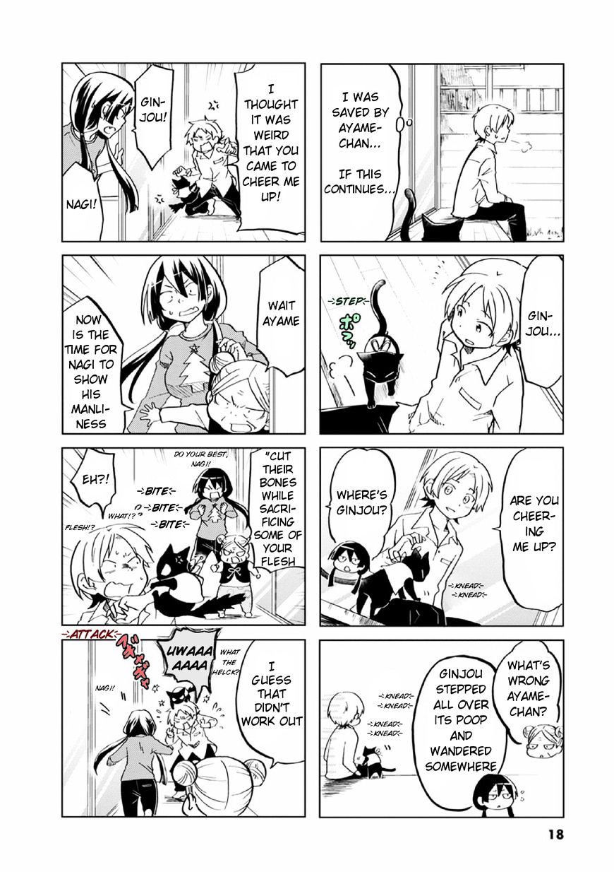 Page 6 of Chapter 19
