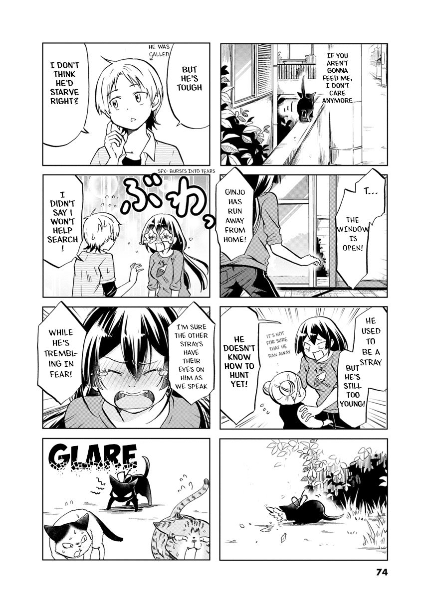 Page 3 of Chapter 41