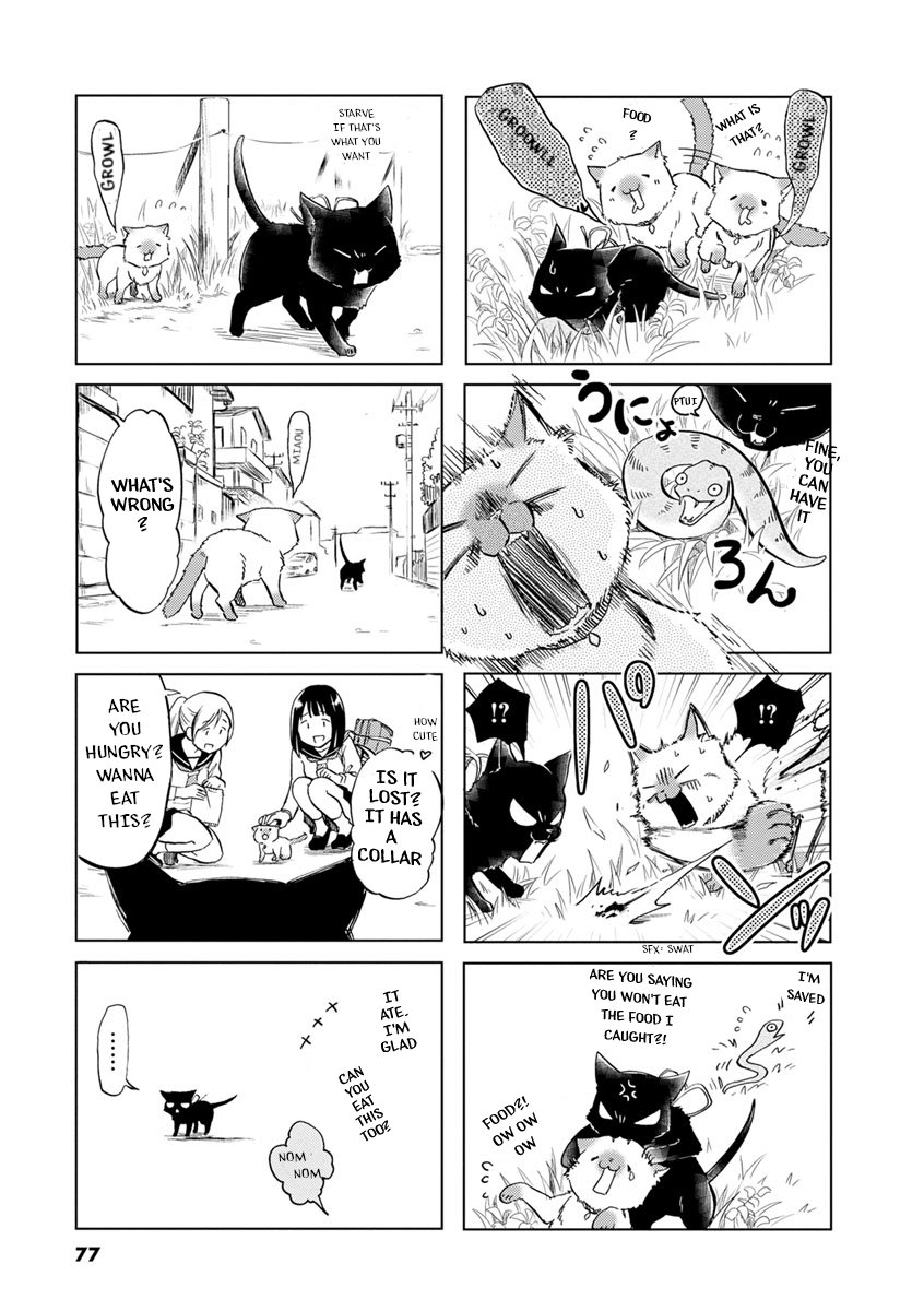 Page 6 of Chapter 41