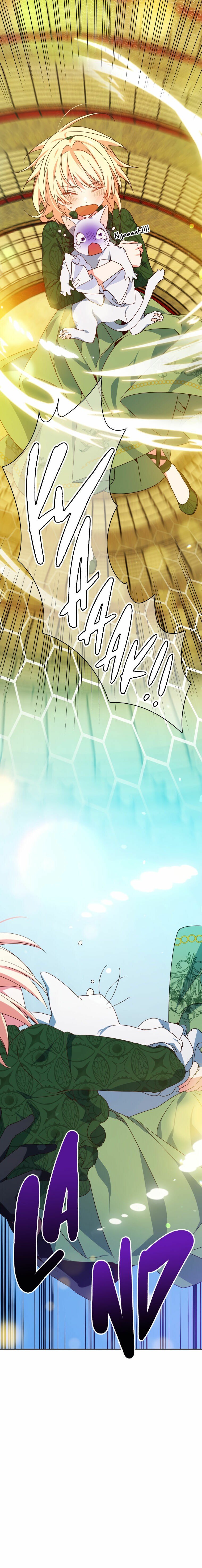 Page 19 of Chapter 25