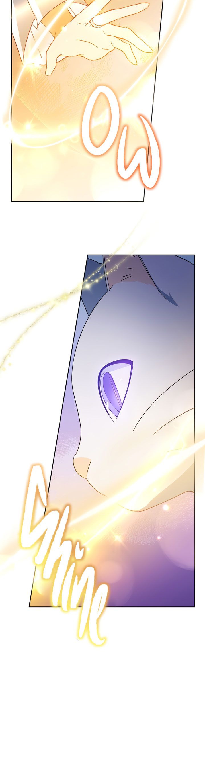 Page 13 of Chapter 49