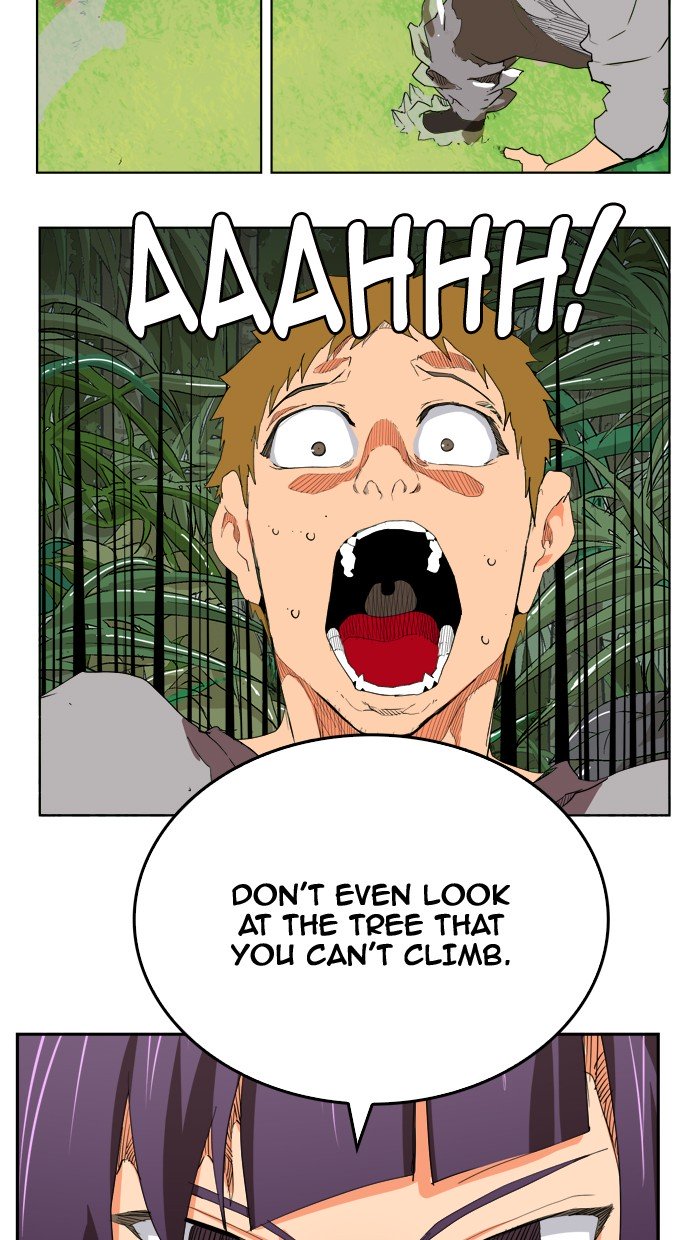 Page 41 of Chapter 325