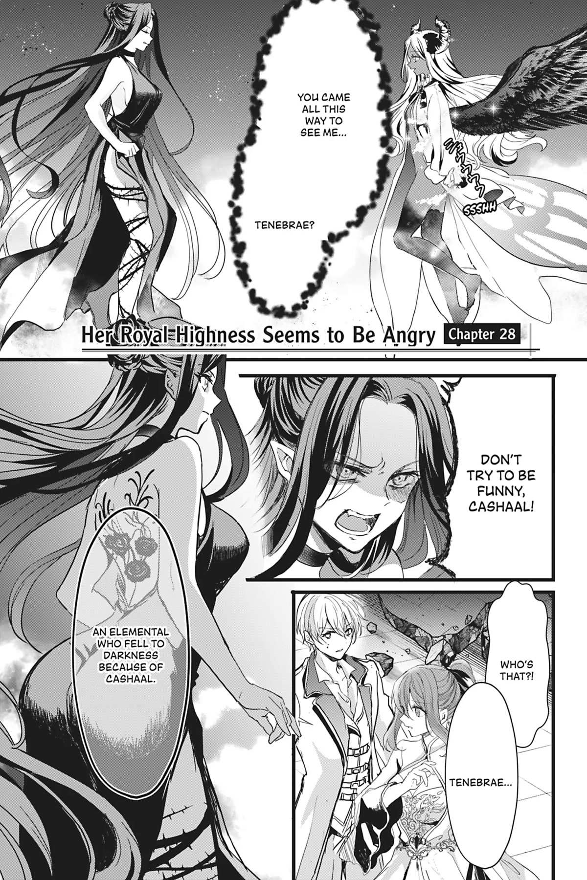 Page 1 of Chapter 28