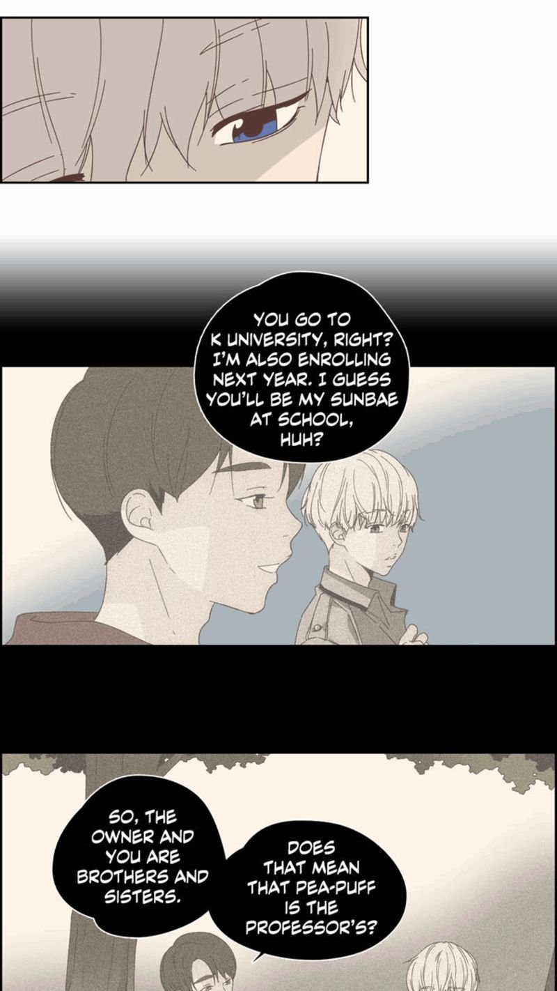 Page 7 of Chapter 13