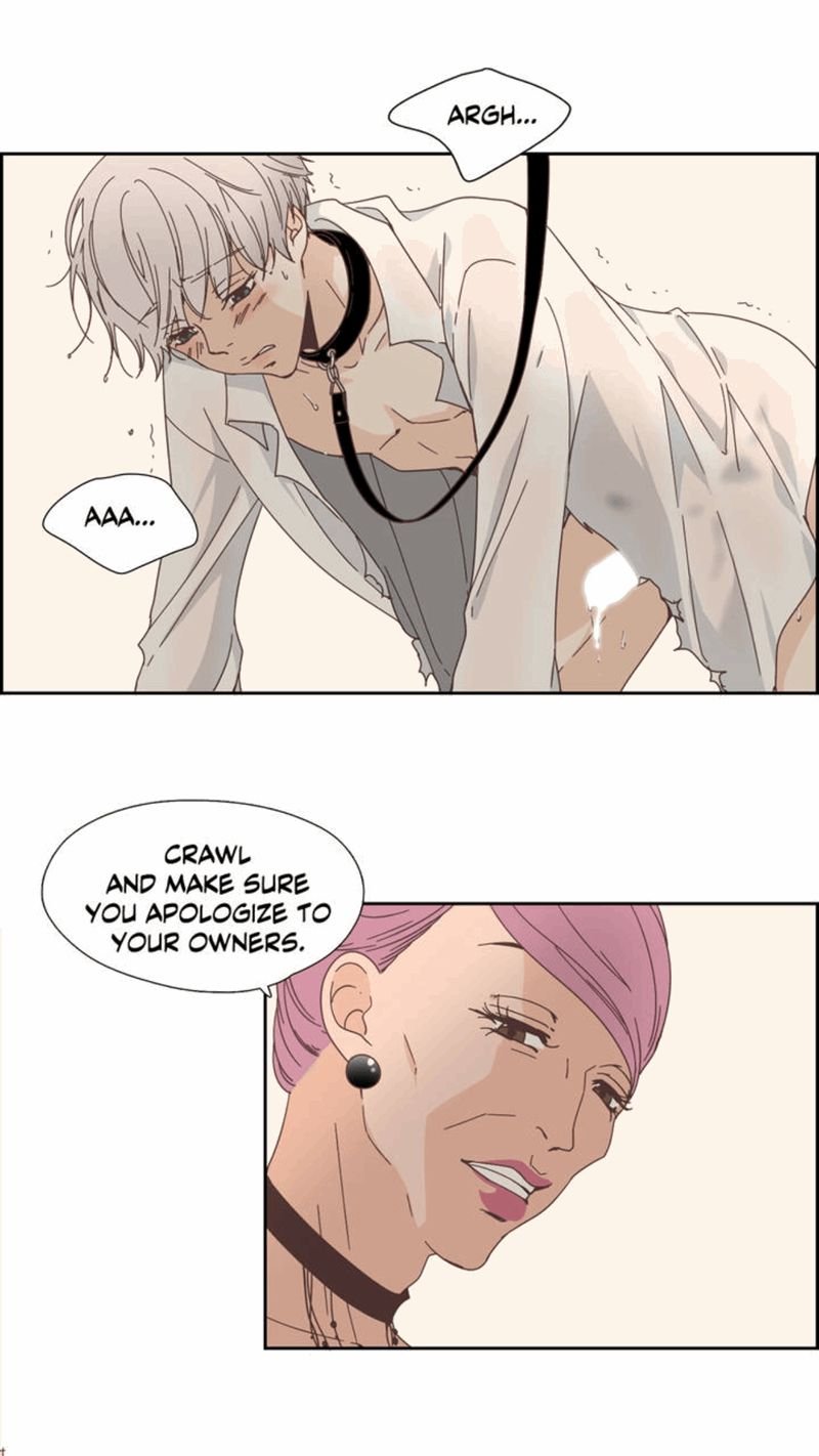 Page 29 of Chapter 21