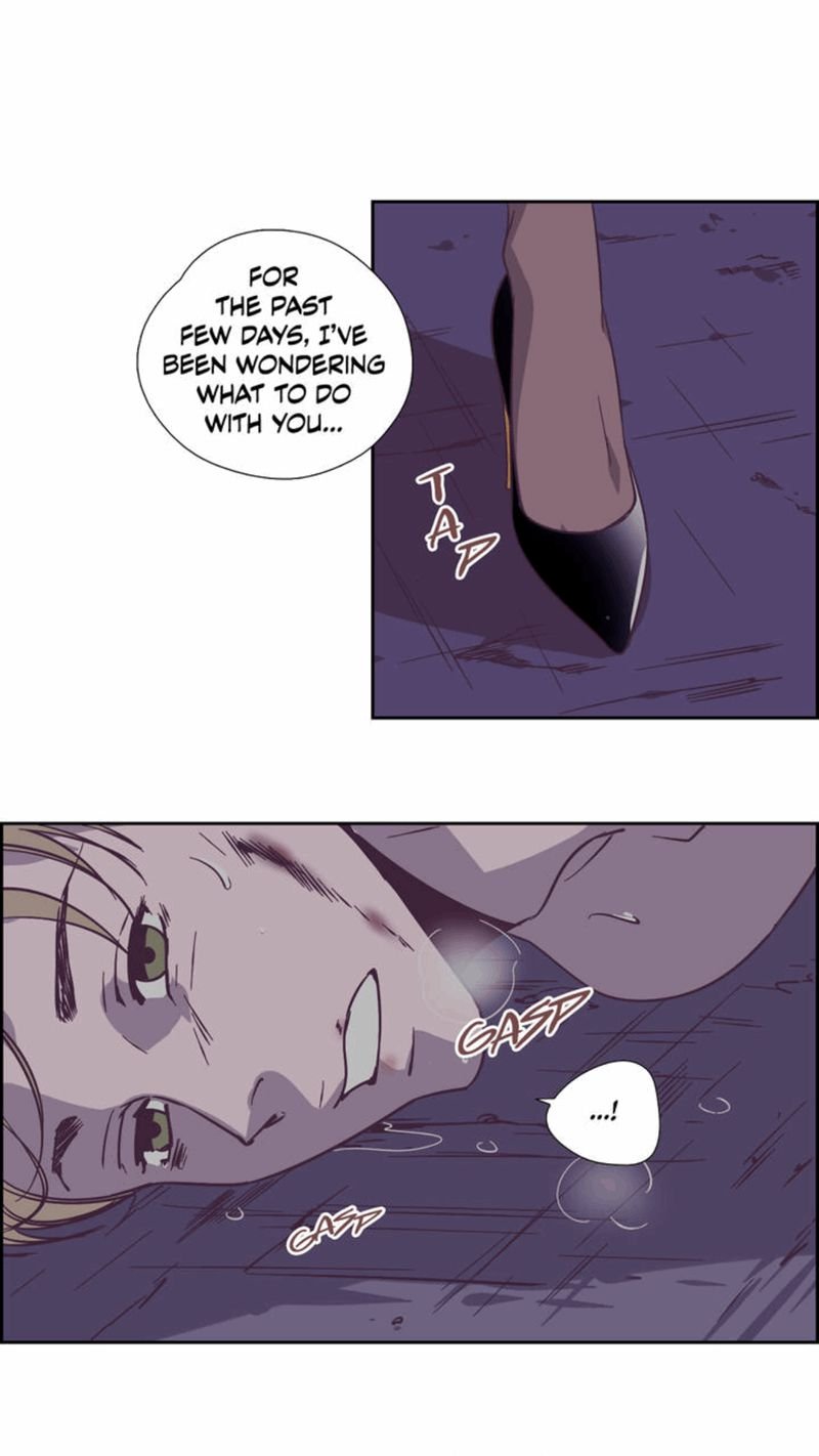 Page 38 of Chapter 49