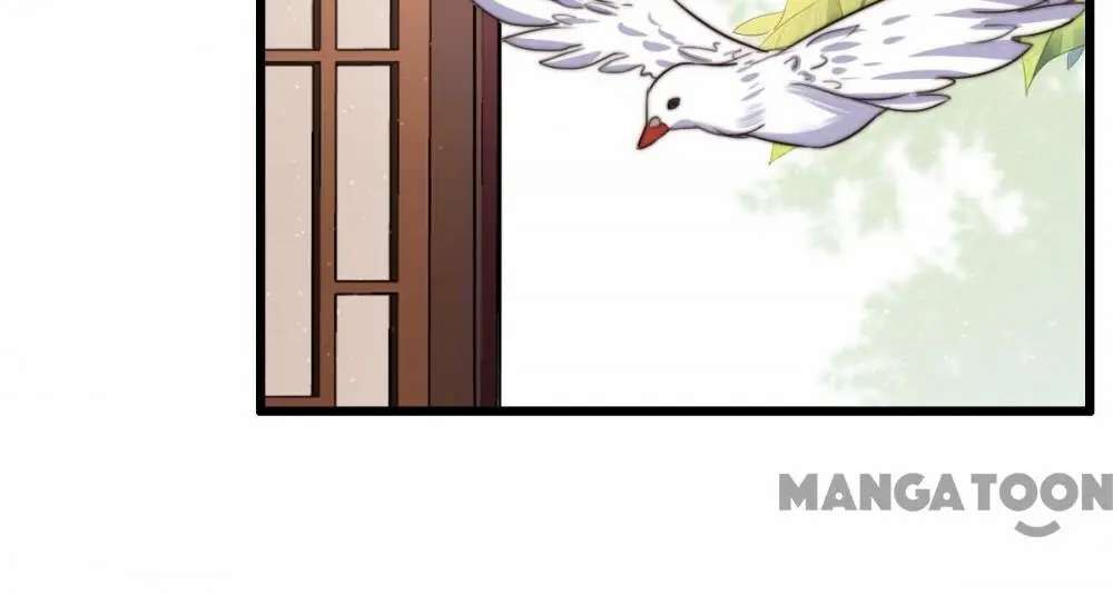 Page 3 of Chapter 98