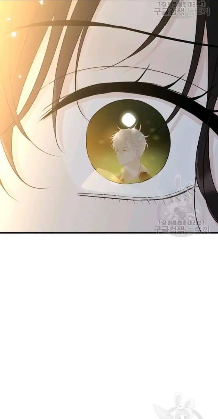 Page 49 of Chapter 66