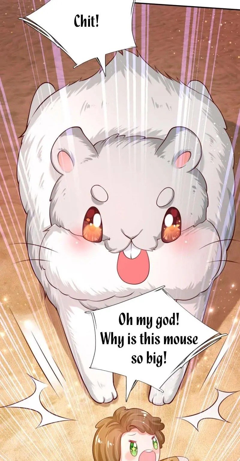 Page 13 of Chapter 157