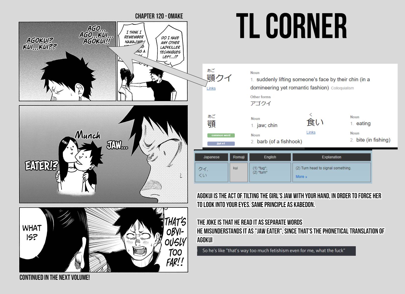 Page 17 of Chapter 120