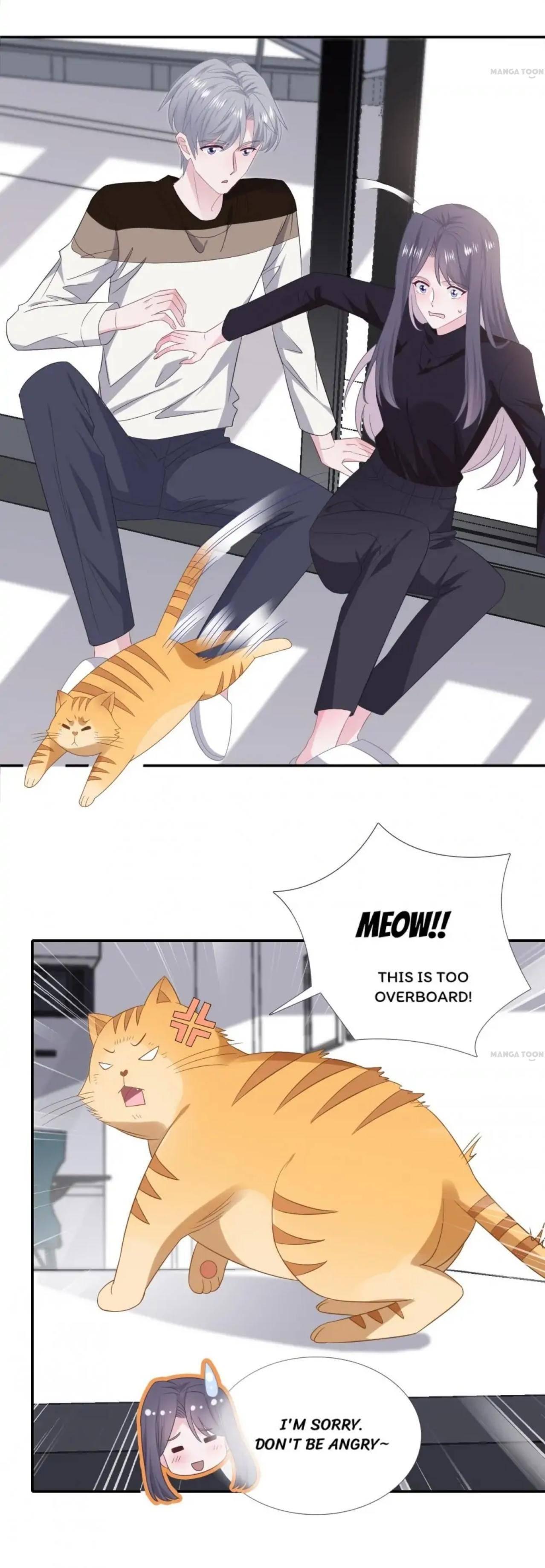 Page 4 of Chapter 117