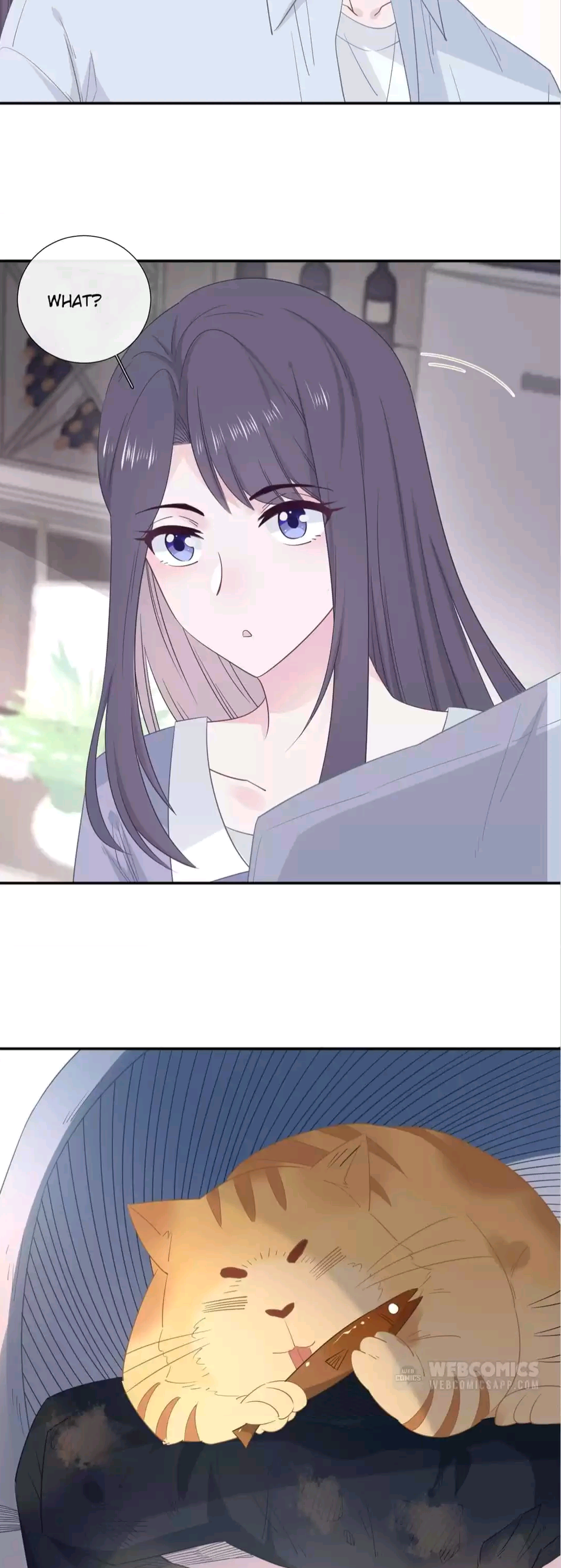 Page 3 of Chapter 13