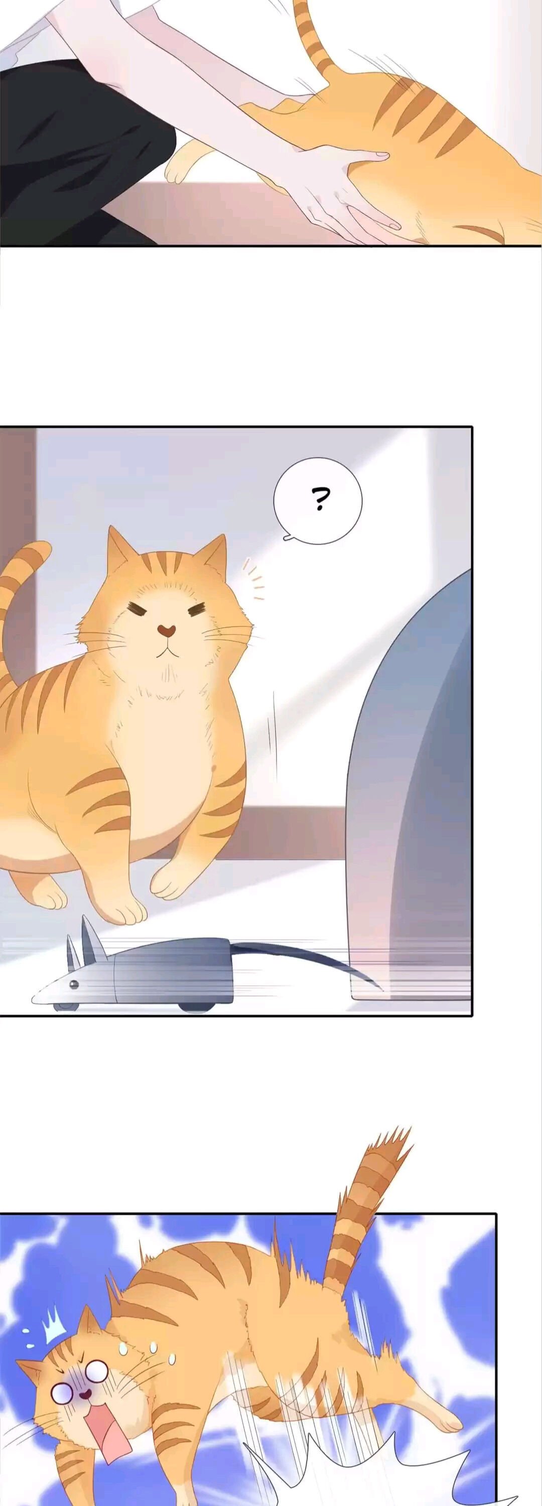 Page 4 of Chapter 28