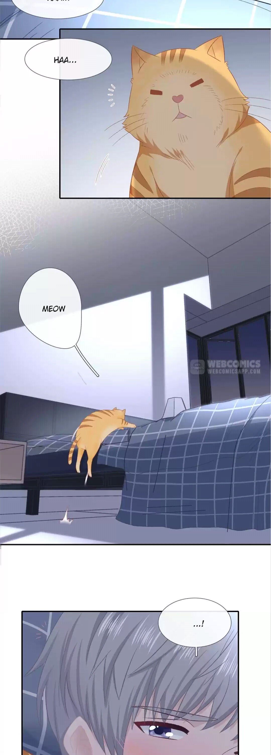 Page 15 of Chapter 53
