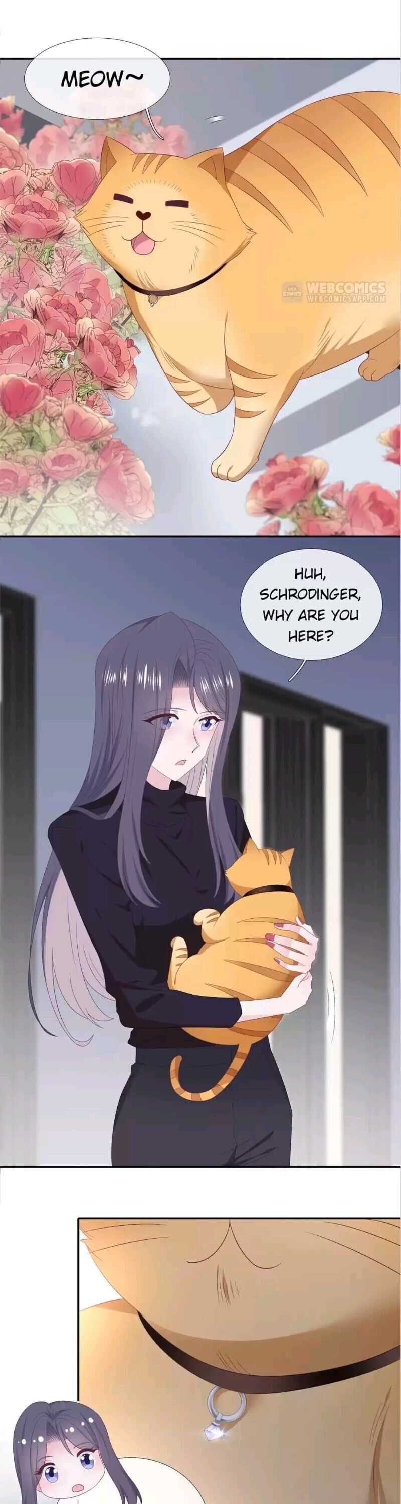 Page 11 of Chapter 91