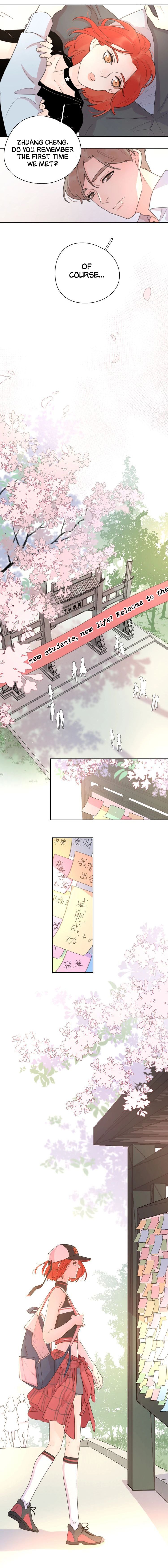 Page 7 of Chapter 15