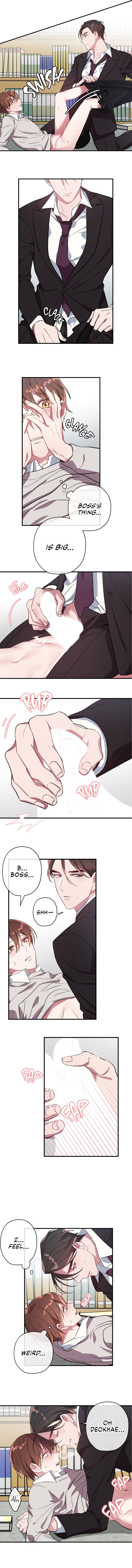 Page 3 of Chapter 17