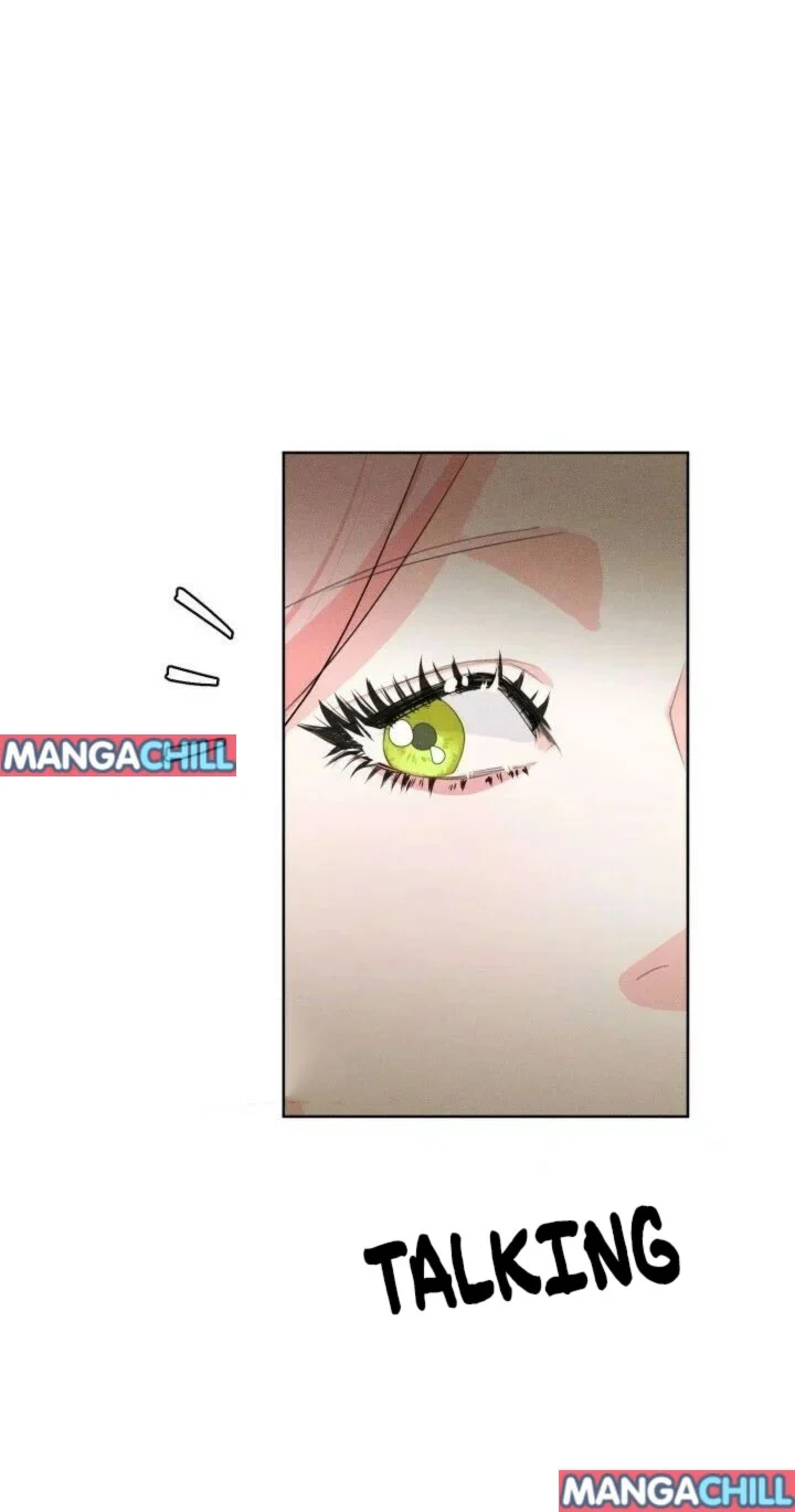 Page 17 of Chapter 48