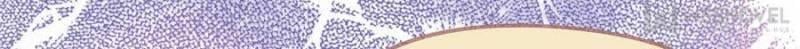Page 35 of Chapter 69