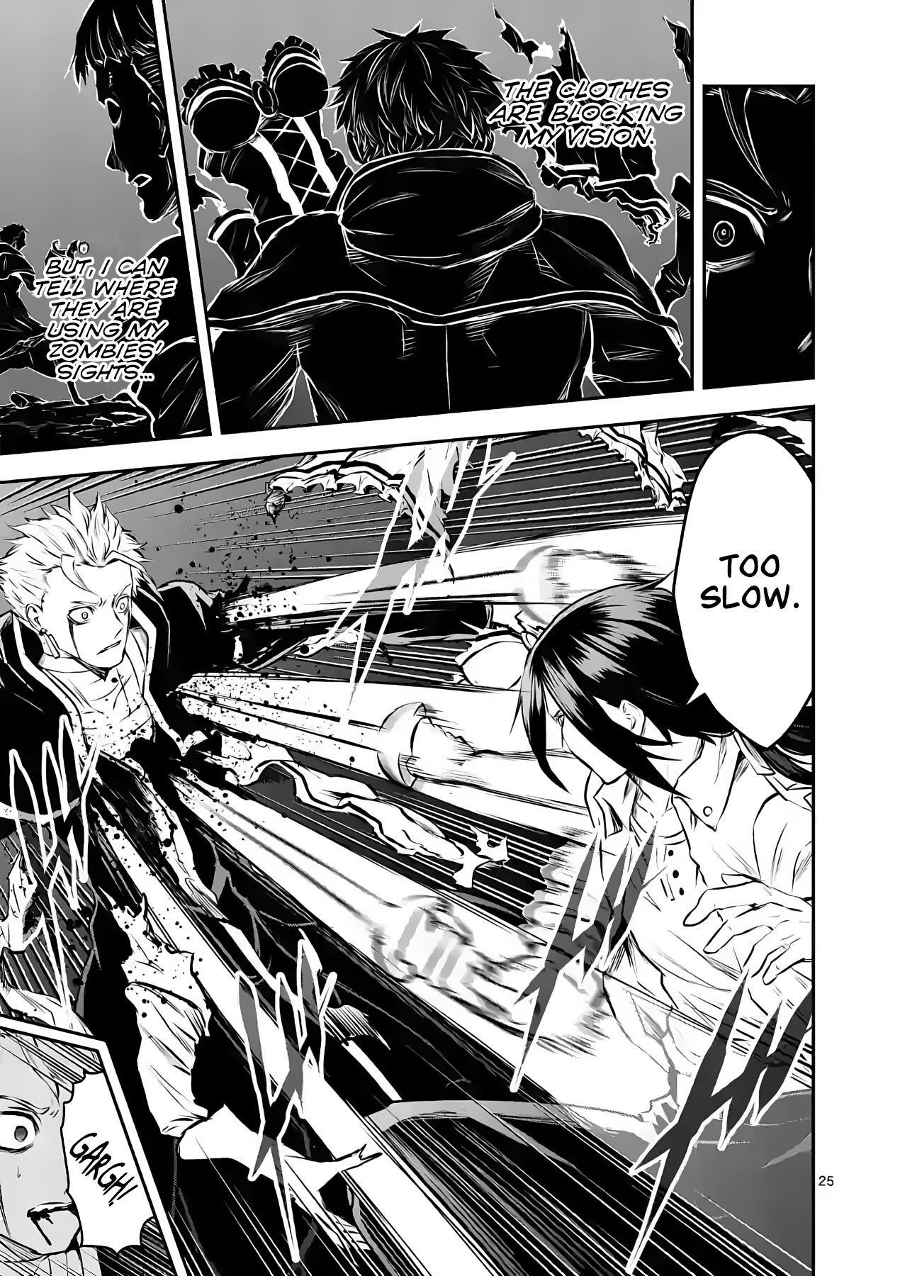 Page 25 of Chapter 193
