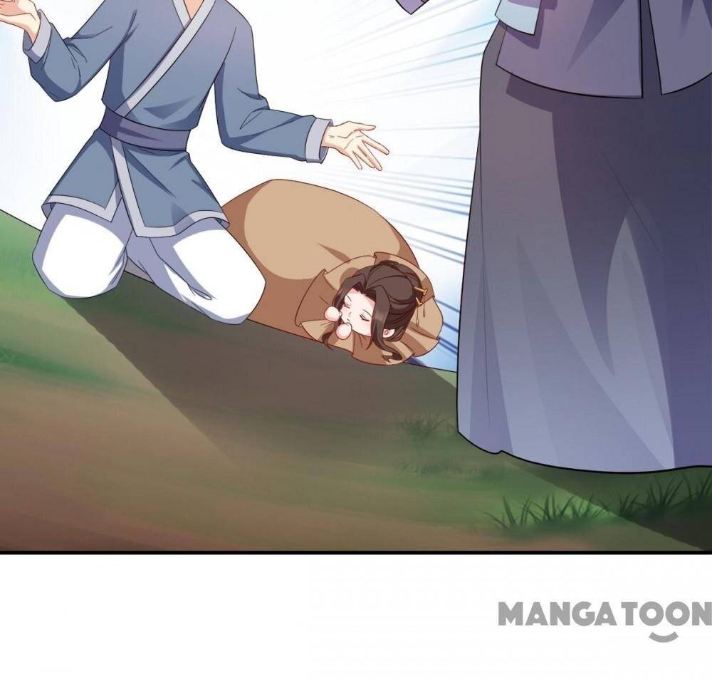 Page 13 of Chapter 135