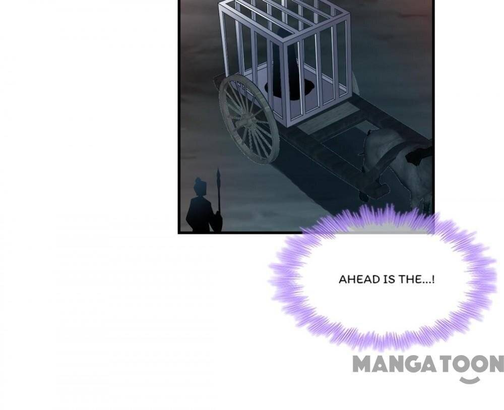 Page 29 of Chapter 135