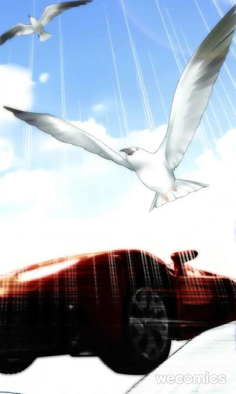 Page 43 of Chapter 1