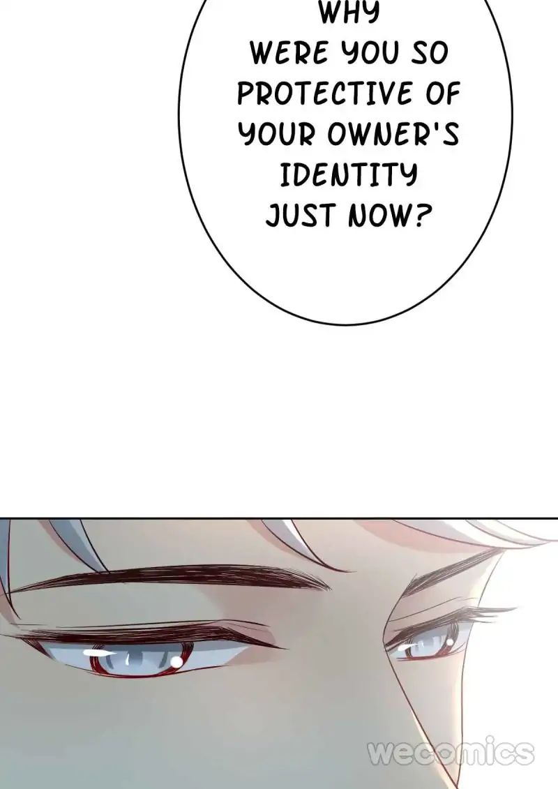Page 25 of Chapter 19