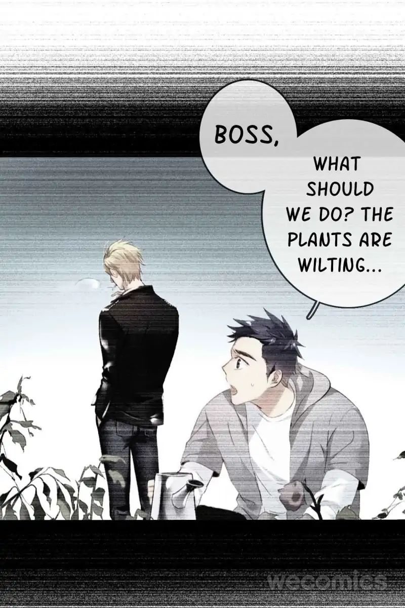 Page 35 of Chapter 3