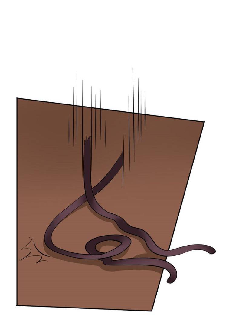 Page 13 of Chapter 57