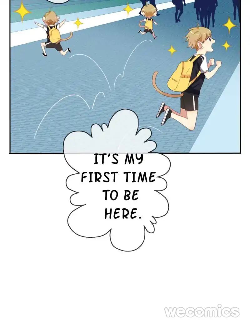 Page 25 of Chapter 8