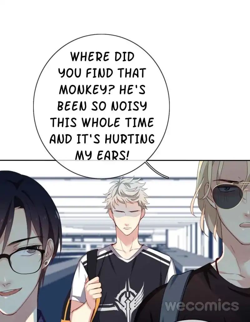 Page 26 of Chapter 8