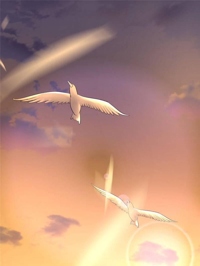Page 1 of Chapter 94