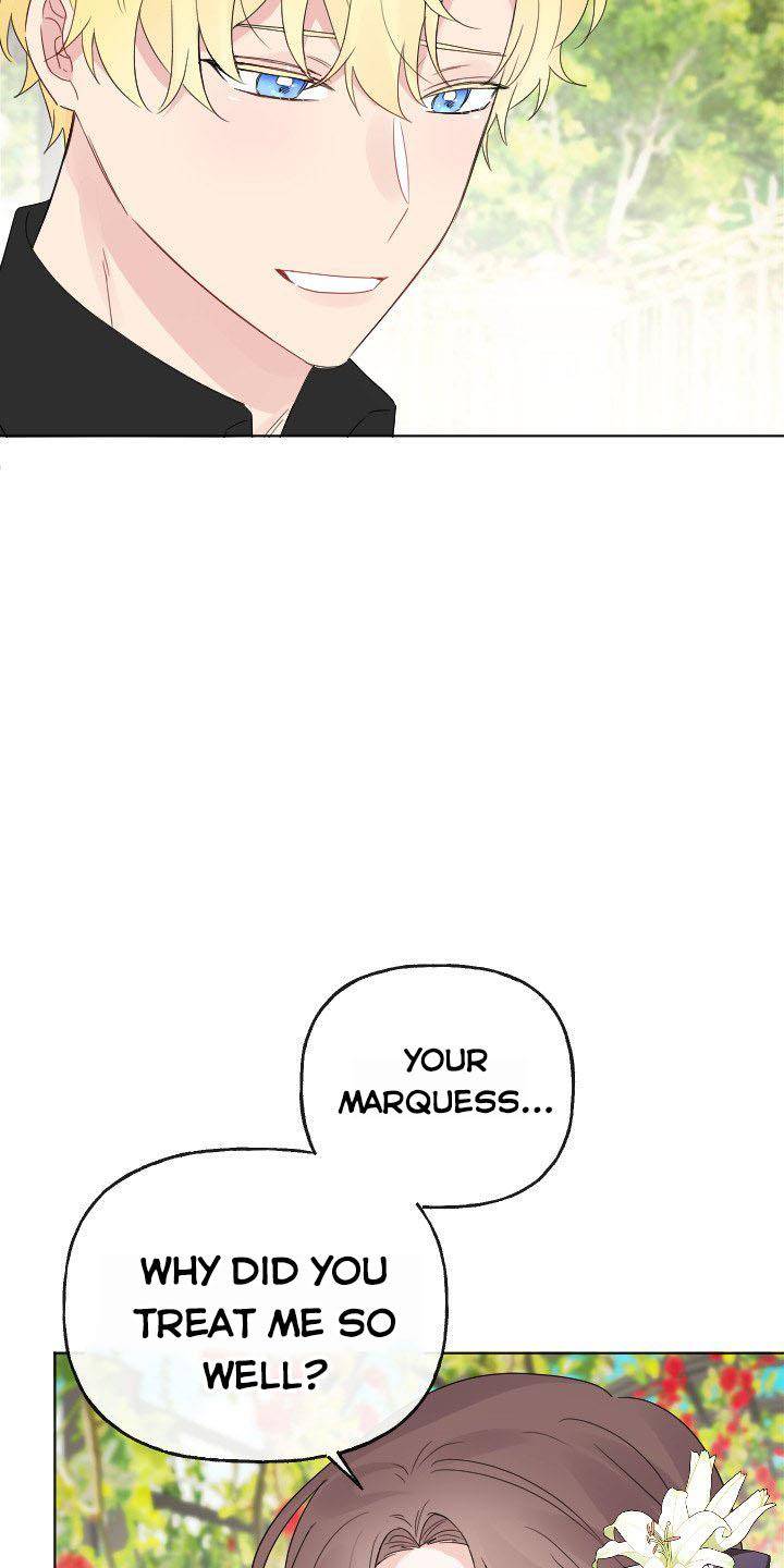 Page 43 of Chapter 17