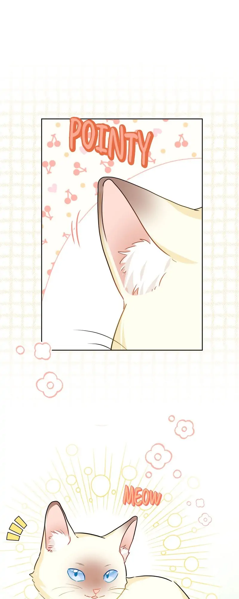 Page 25 of Chapter 72