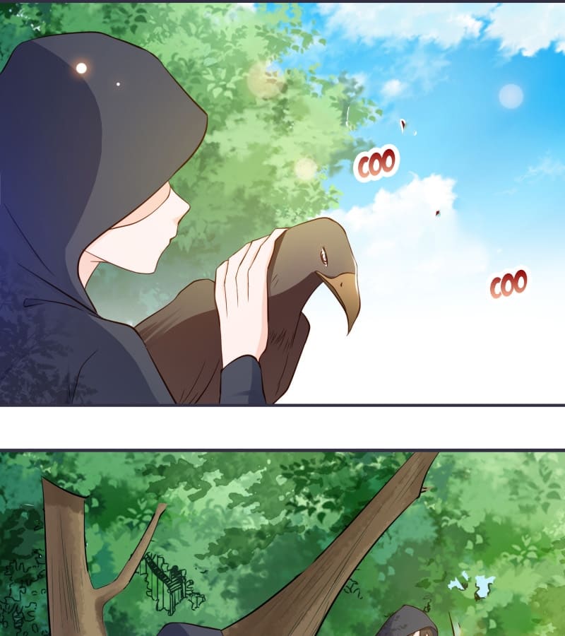 Page 13 of Chapter 7