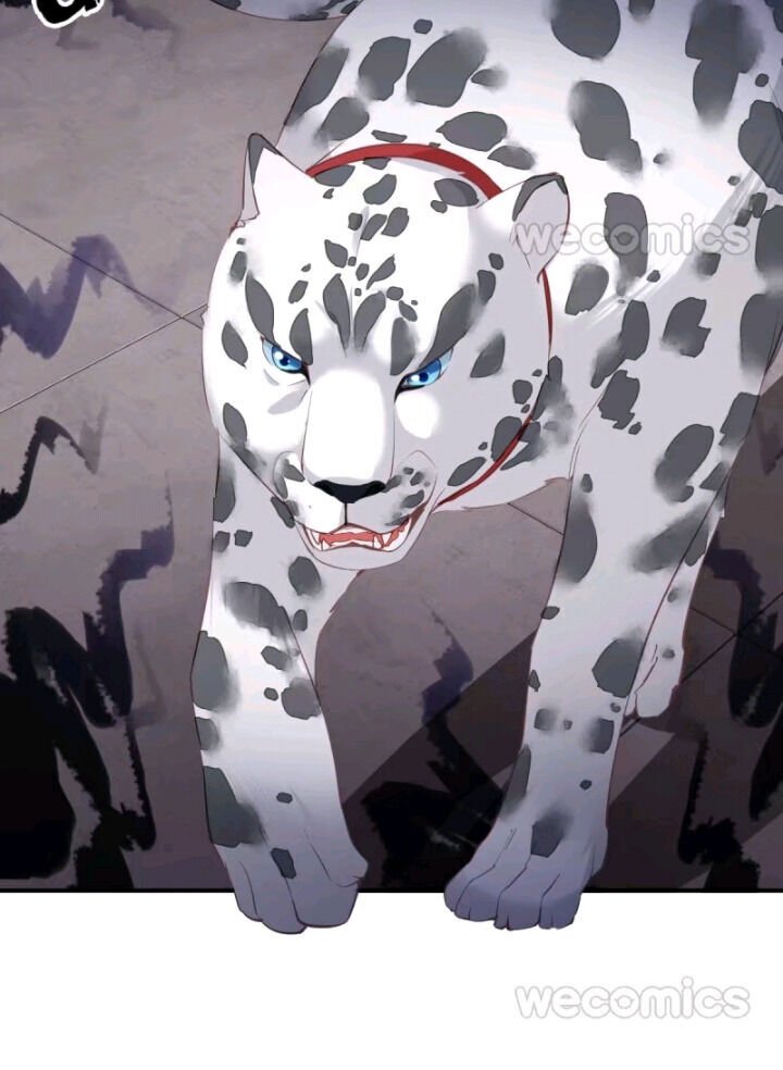 Page 19 of Chapter 104
