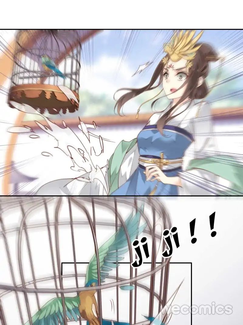 Page 12 of Chapter 13