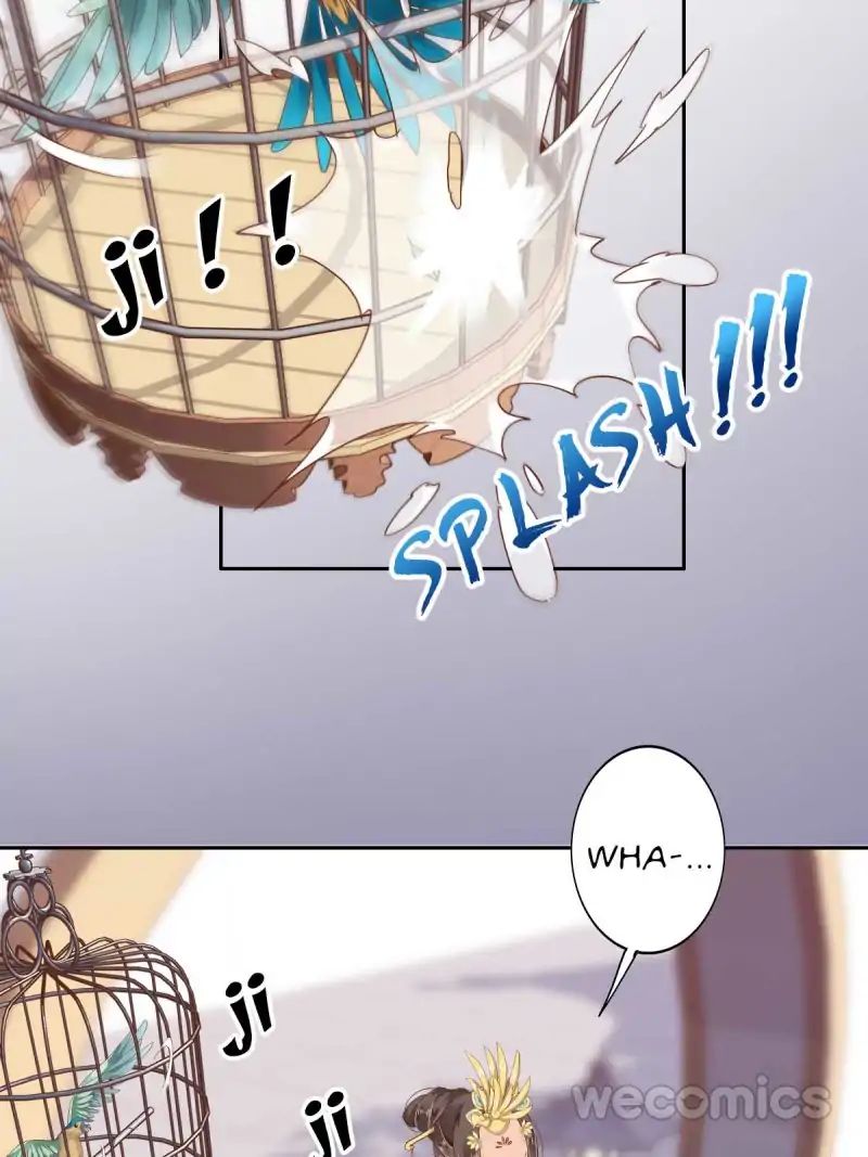 Page 13 of Chapter 13