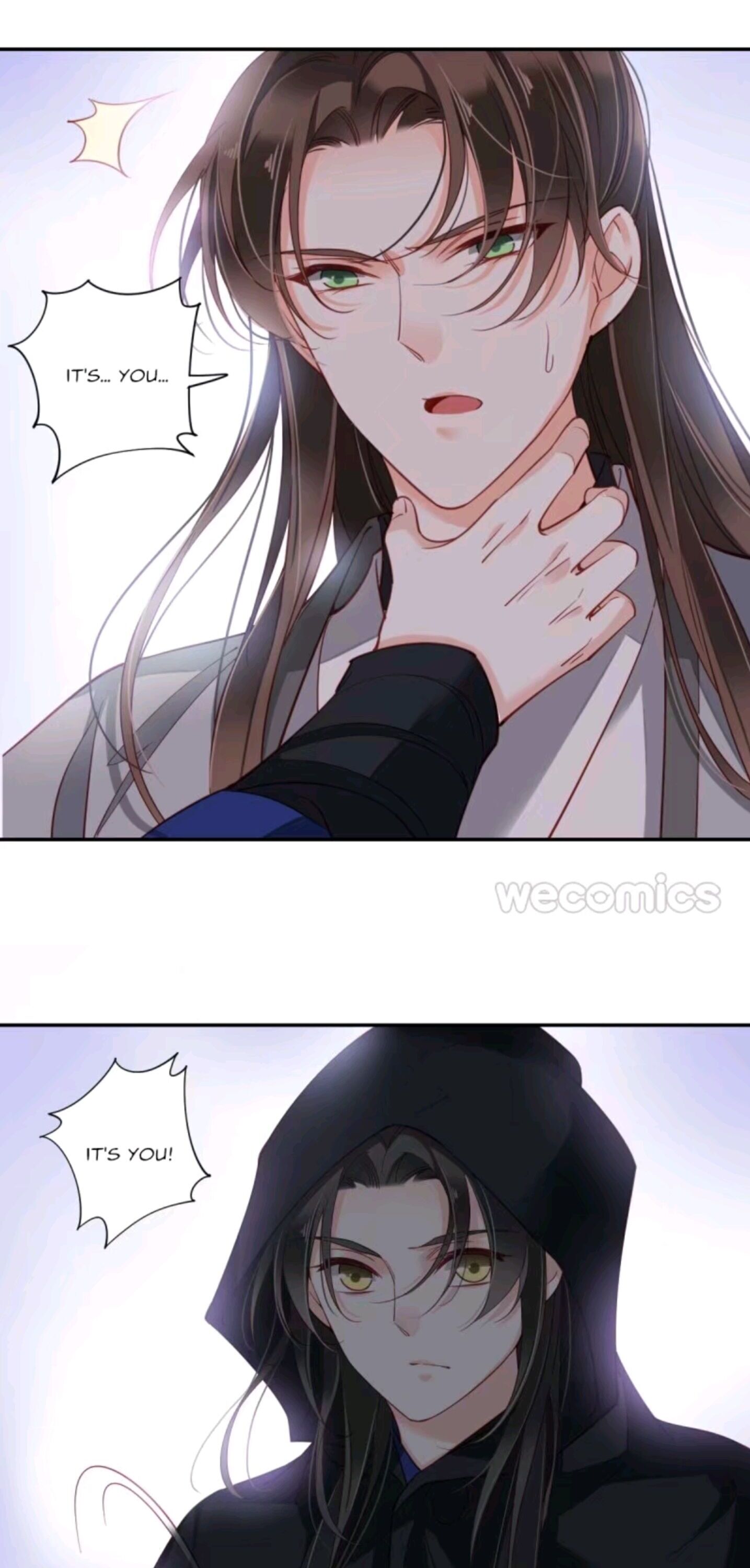 Page 21 of Chapter 95